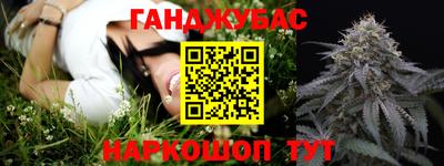 МДПВ Моздок