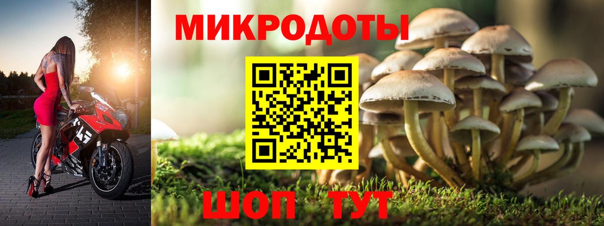 Галлюциногенные грибы прущие грибы Печора