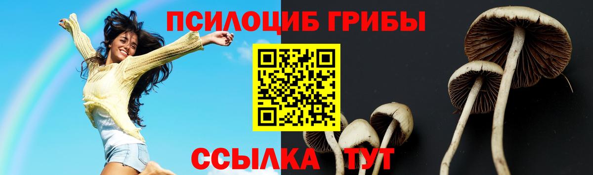 Псилоцибиновые грибы Cubensis  Вход с VPN  Печора 